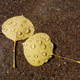 Illustration for article titled 48 Photos Of Autumn Around The World